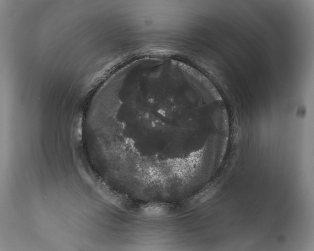 X0000111120358200907211055