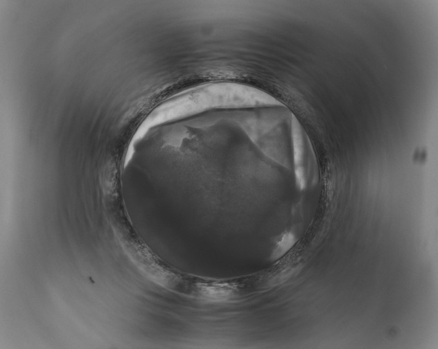 X0000111120359200907211055
