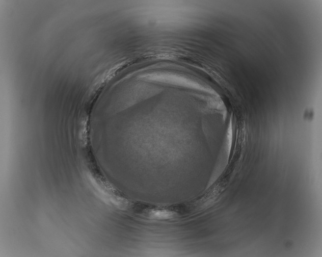 X0000111120360200907211055