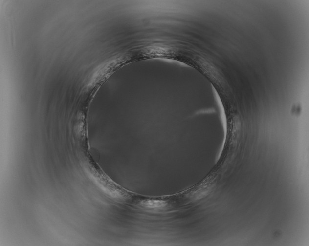 X0000111120361200907211055