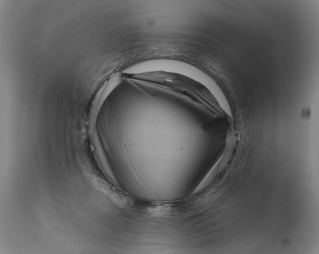 X0000111120362200907211055