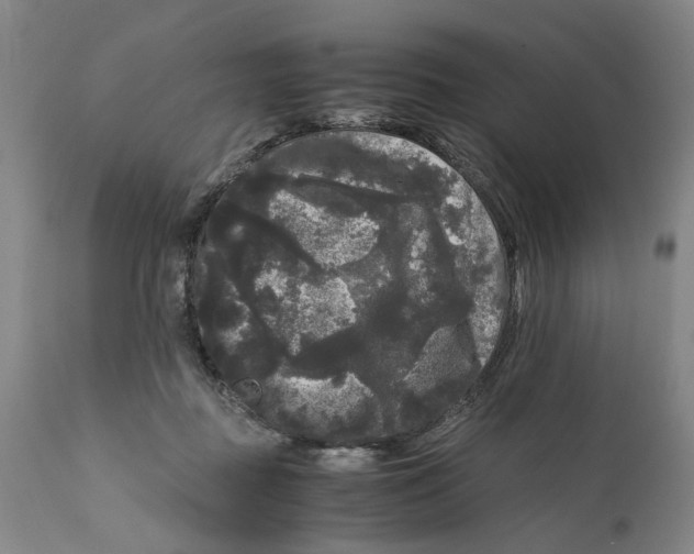 X0000111120363200907211055