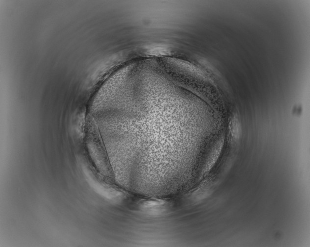 X0000111120364200907211055