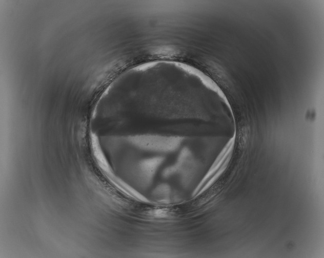 X0000111120365200907211055