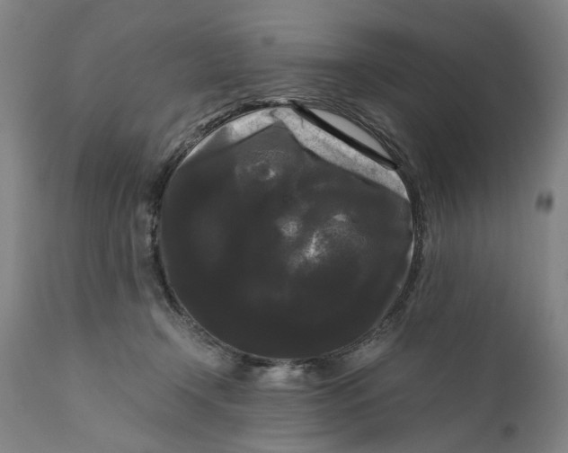 X0000111120366200907211055