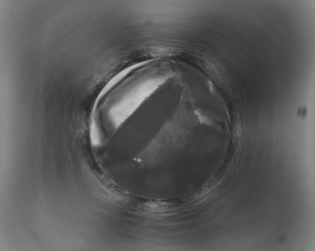 X0000111120367200907211055