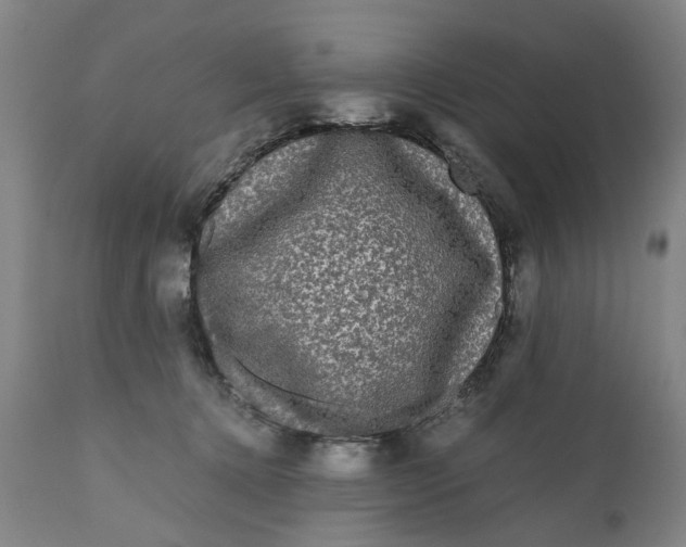 X0000111120368200907211055