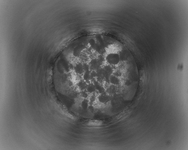 X0000111120369200907211055