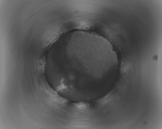 X0000111120370200907211055