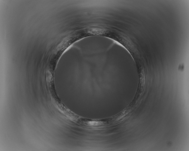 X0000111120371200907211055