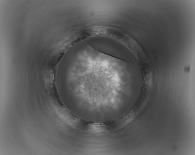X0000111120372200907211055