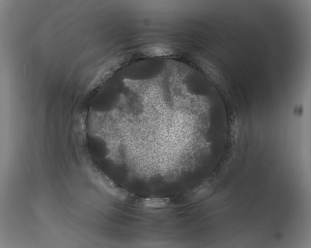 X0000111120373200907211055
