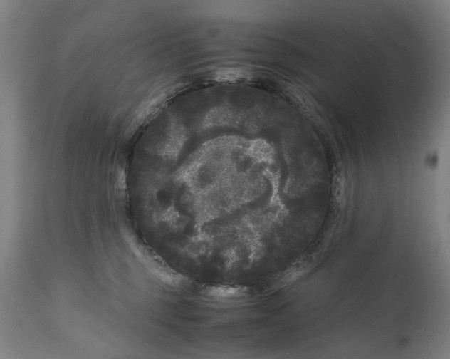 X0000111120375200907211055