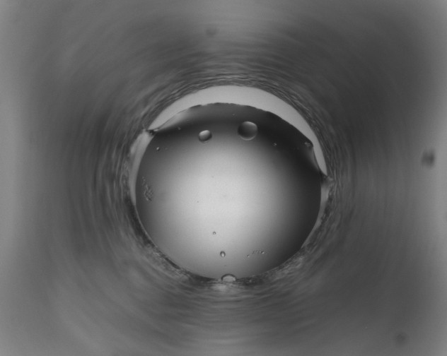 X0000111120376200907211055