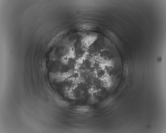 X0000111120377200907211055