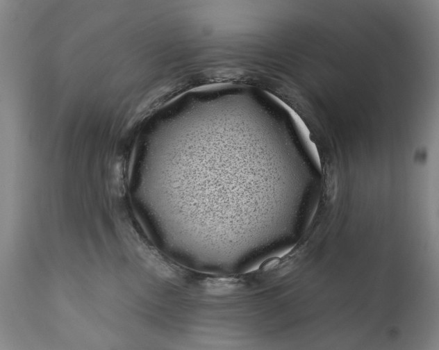 X0000111120378200907211055