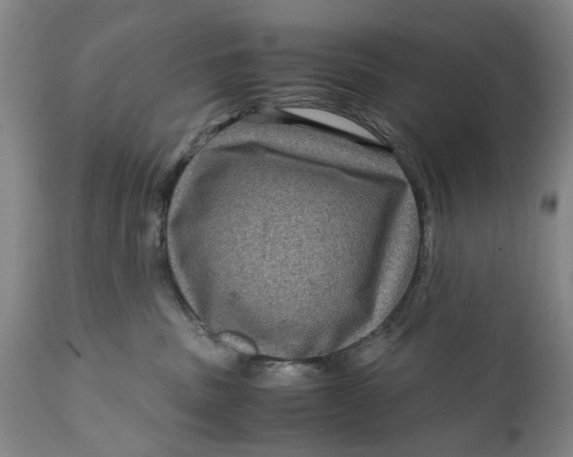 X0000111120379200907211055