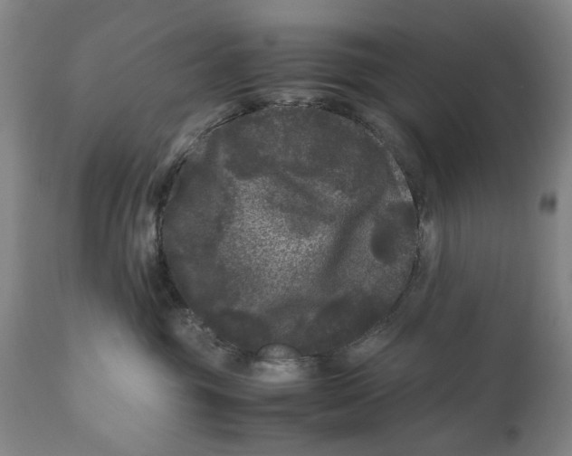 X0000111120381200907211055