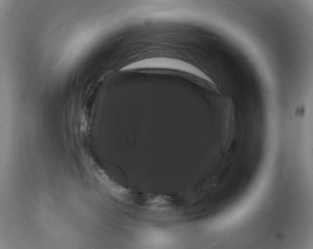 X0000111120382200907211055