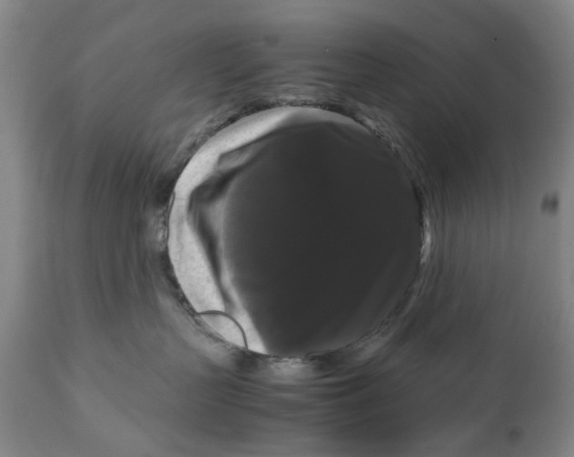 X0000111120383200907211055