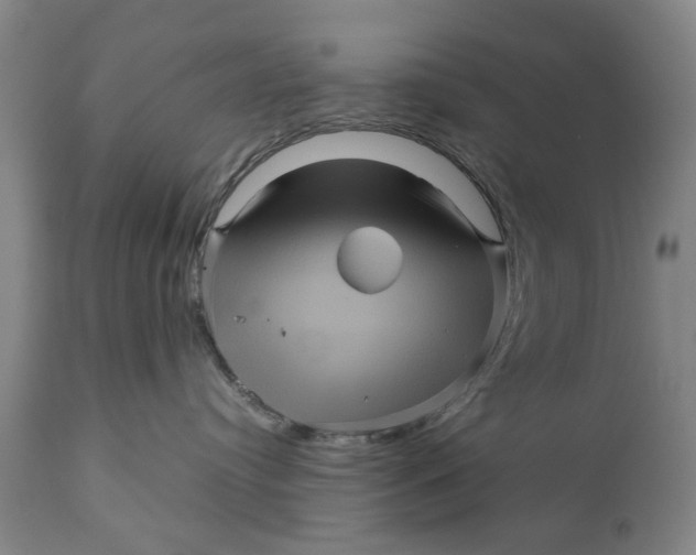 X0000111120384200907211056
