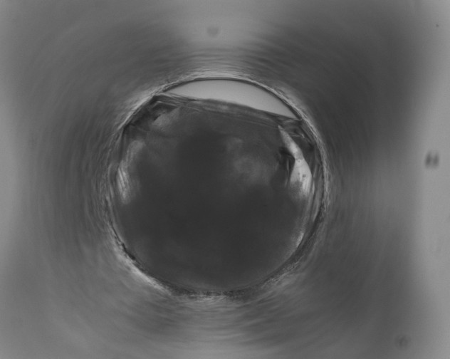 X0000111120385200907211055