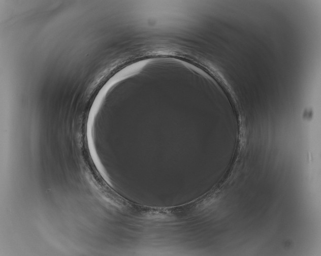 X0000111120386200907211055