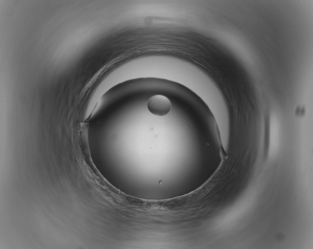 X0000111120387200907211055