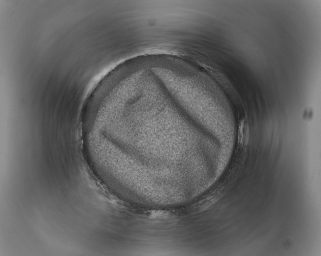 X0000111120388200907211055