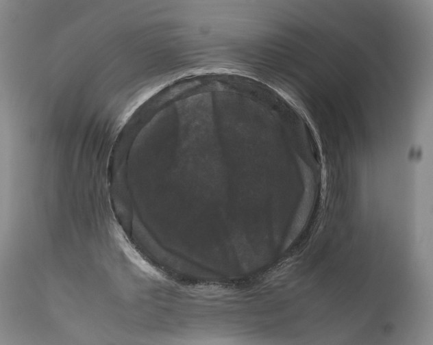 X0000111120389200907211055