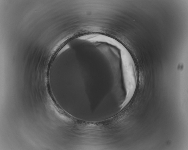 X0000111120390200907211055