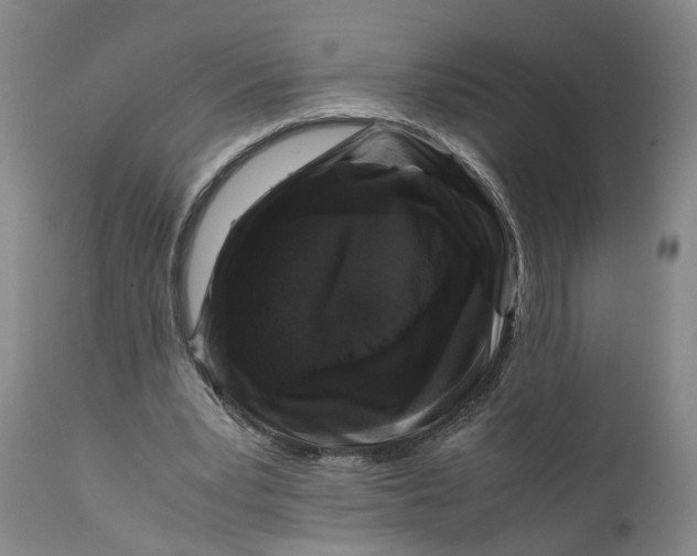 X0000111120391200907211055