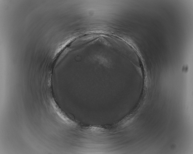 X0000111120393200907211055