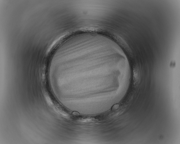 X0000111120396200907211055