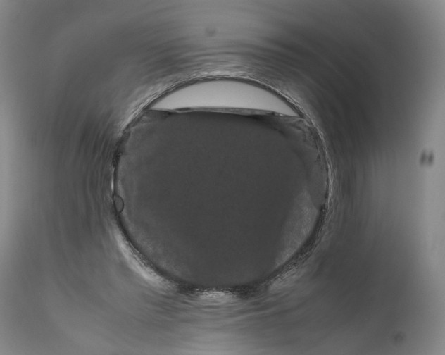 X0000111120397200907211055