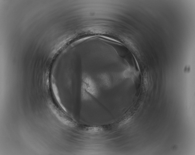 X0000111120398200907211055