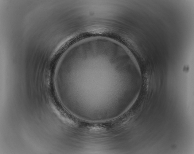 X0000111120400200907211055
