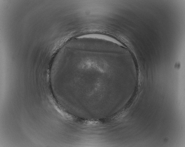 X0000111120401200907211055