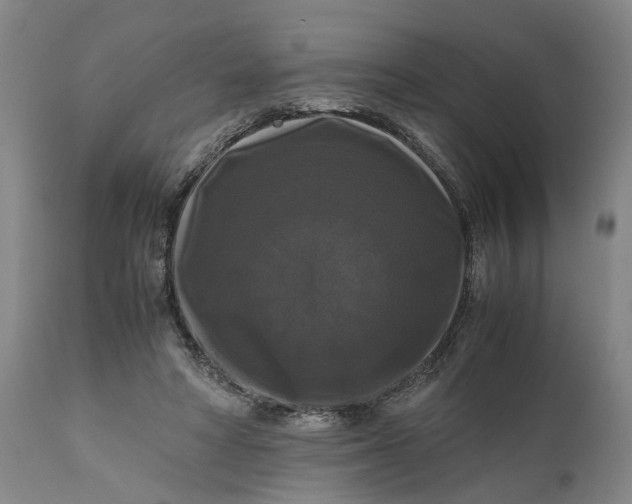 X0000111120402200907211055