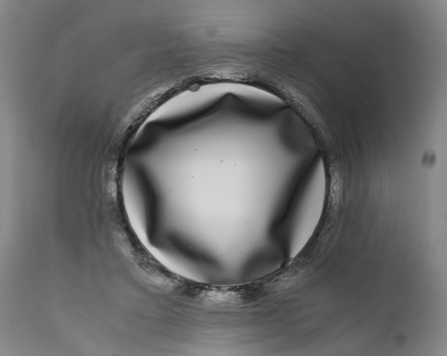 X0000111120403200907211055