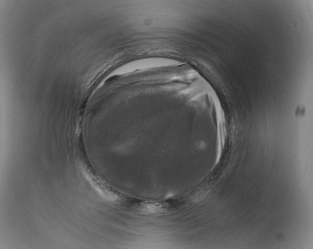 X0000111120405200907211055