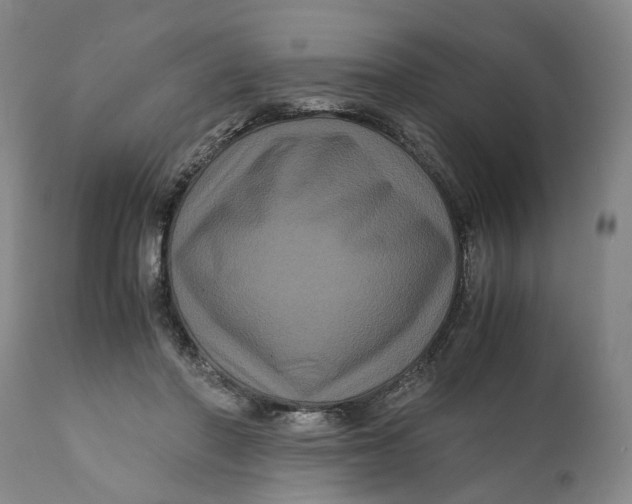 X0000111120406200907211055