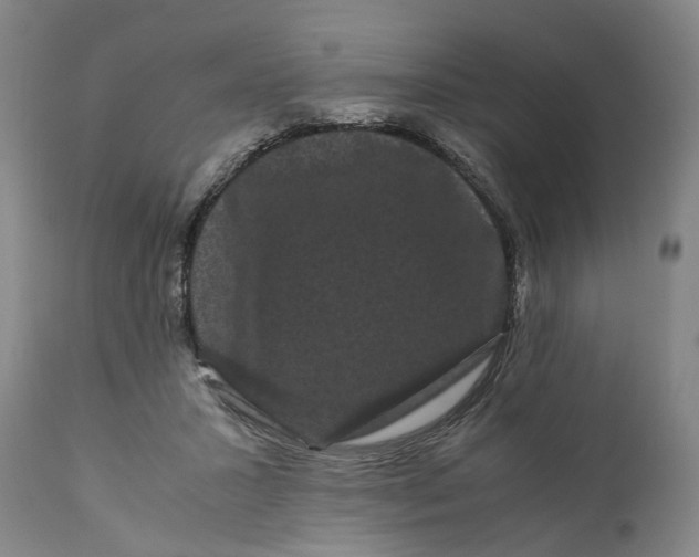 X0000111120407200907211055