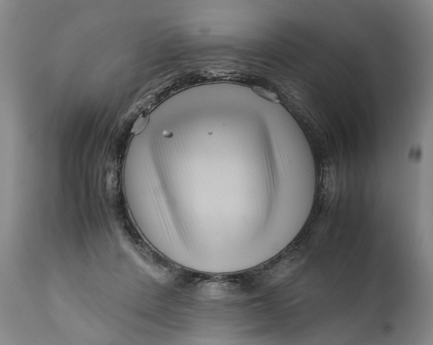 X0000111120408200907211055