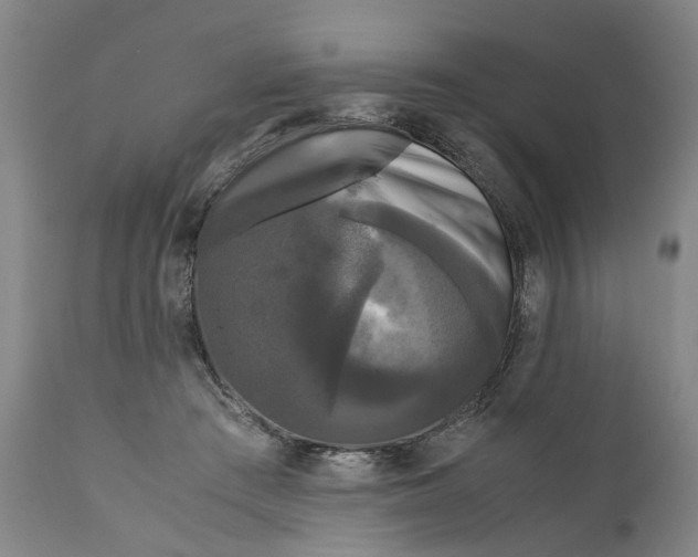 X0000111120409200907211055