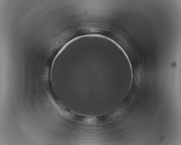 X0000111120410200907211055