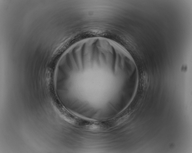X0000111120412200907211054