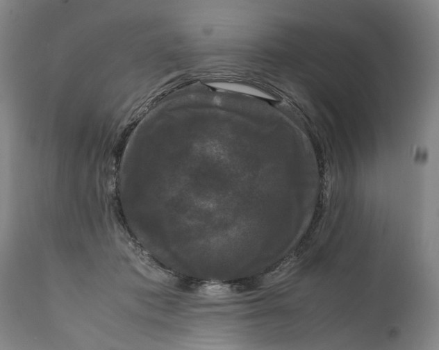 X0000111120413200907211054