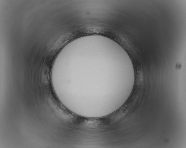 X0000111120414200907211054