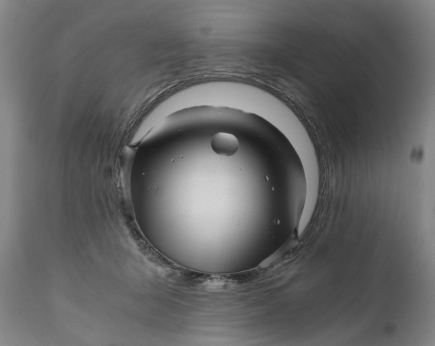 X0000111120415200907211054
